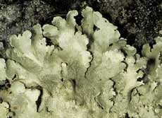 ar_image82.jpg