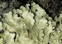 ar_image82.jpg