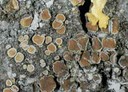 ar_image84.jpg