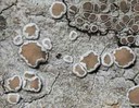 ar_image92.jpg