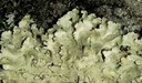 ar_image95.jpg