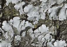 ar_image97.jpg