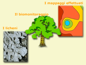 licheni, biomonitoraggio, mappaggi