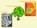 ar_mappaintrolicheni.gif