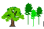 ar_pollini_applicazioni_biodiversita.gif