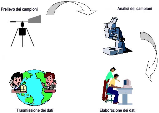 ar_schema.jpg