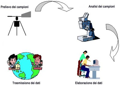ar_schema.jpg