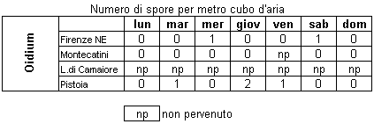 ar_sporefungine_oidium.gif