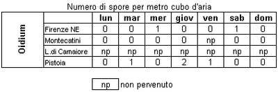 ar_sporefungine_oidium.gif