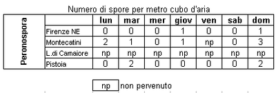 ar_sporefungine_peronospora.gif