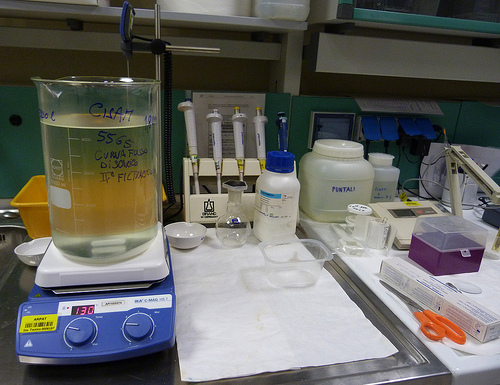laboratorio
