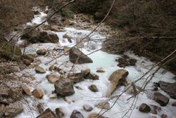 corso d'acqua reso torbido dalla marmettola.gif