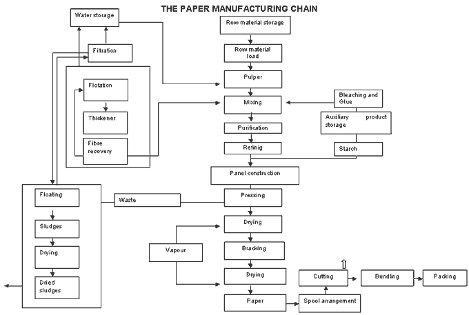 the paper manufacturing chain