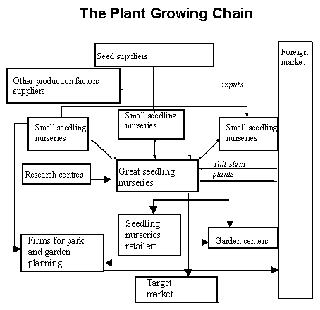 plant growing chain