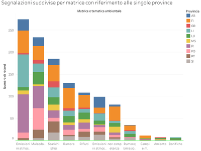 segnalazioni 2019 divise per tema e provincia