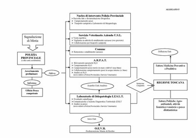 Schema competenze dei diversi enti per le morie di pesci
