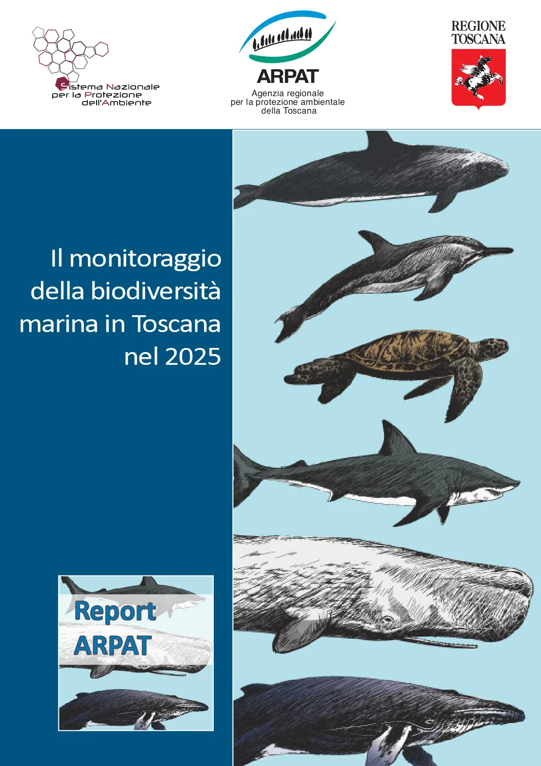 Il monitoraggio della biodiversità marina in Toscana nel 2025
