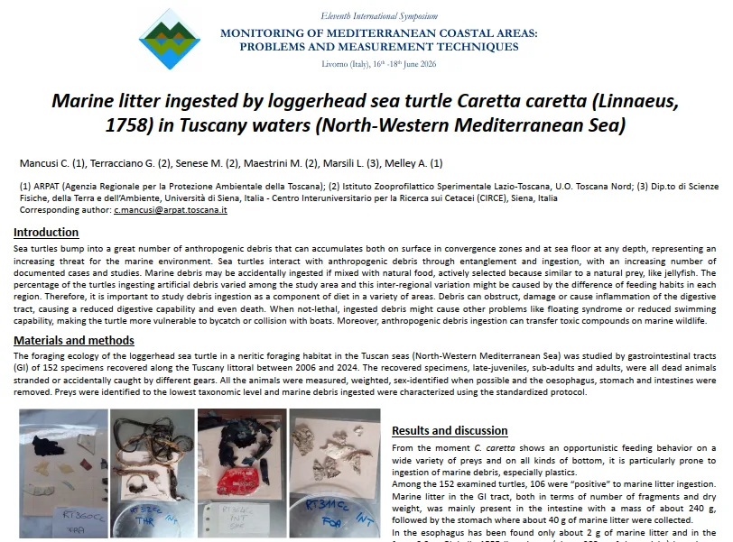 Marine litter ingested by loggerhead sea turtle Caretta caretta (Linnaeus, 1758) in Tuscany waters (North-Western Mediterranean Sea)
