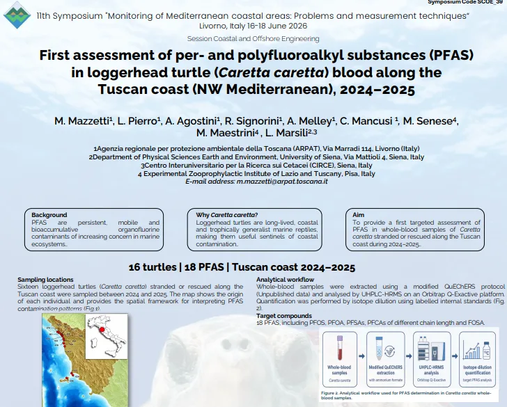 First assessment of per- and polyfluoroalkyl substances (PFAS) in loggerhead turtle (Caretta caretta) blood along the Tuscan coast (NW Mediterranean), 2024–2025