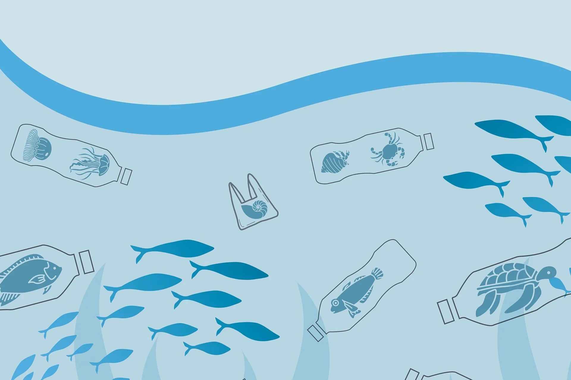 Progetto EPIC: la lotta alle plastiche nel Mediterraneo 