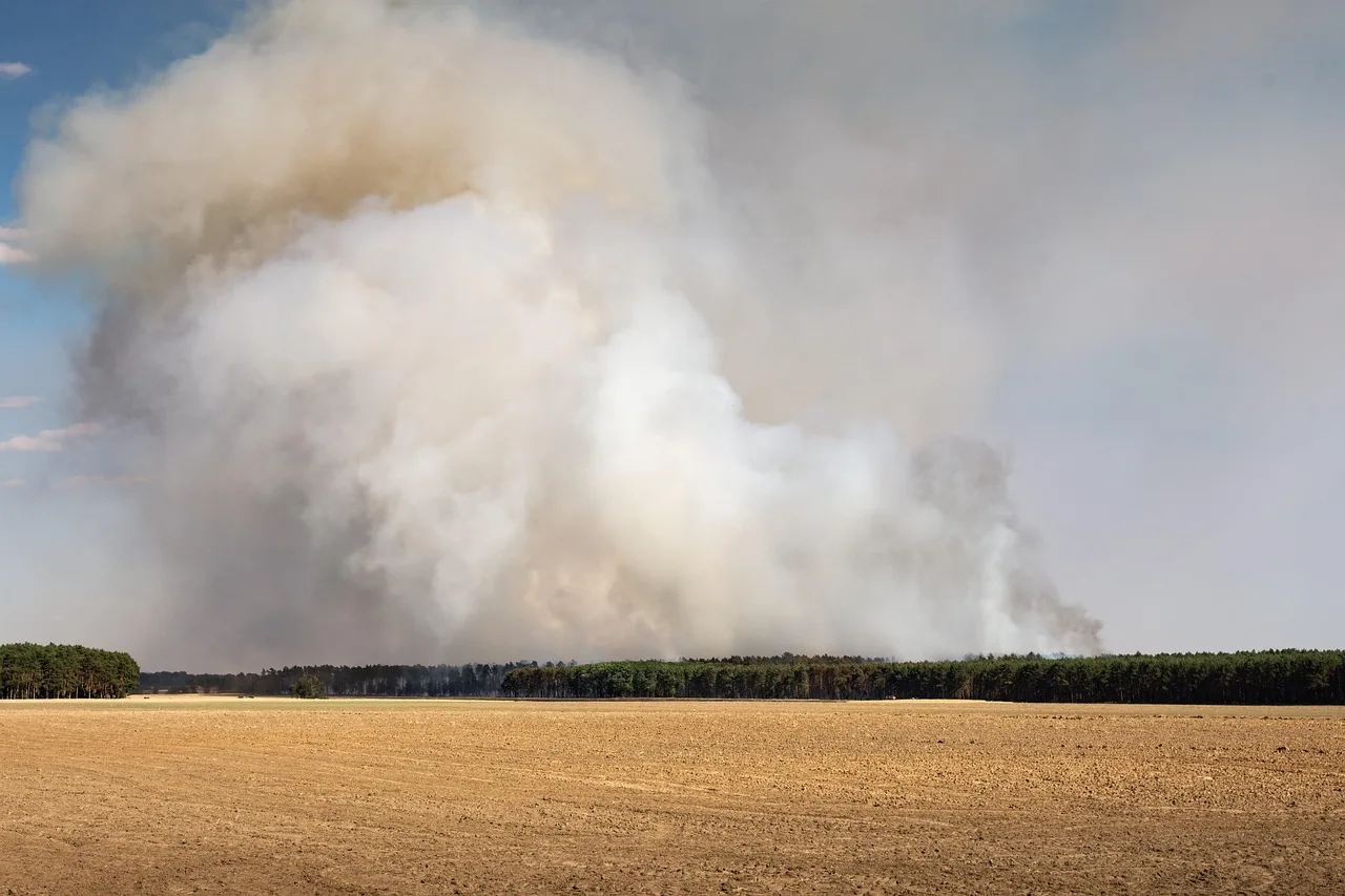 Incendio alla ditta Spedi a Vecchiano (PI)