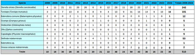 Cetacei spiaggiati in Toscana – anni 2008-2024