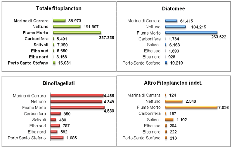 Concentrazioni fitoplanctoniche medie (cell/L) – costa toscana anno 2011