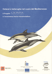 Cetacei e tartarughe nel cuore del Mediterraneo