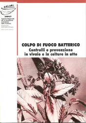 Colpo di fuoco batterico