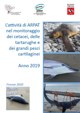 L’attività di ARPAT nel monitoraggio dei cetacei, delle tartarughe e dei grandi pesci cartilaginei – anno 2019
