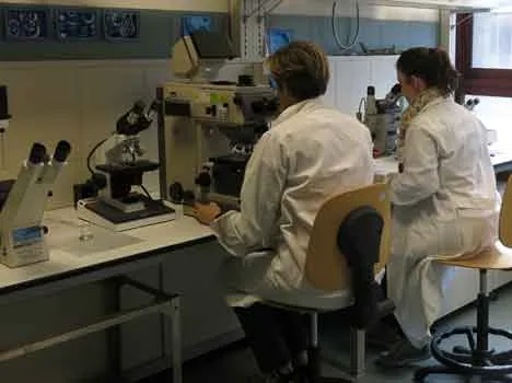 Annuario dati ambientali: le attività di ARPAT nel 2022