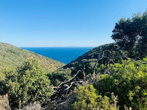 acque marino-costiere - profilo Isola Montecristo