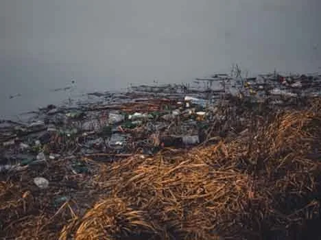 Rifiuti abbandonati che galleggiano sull'acqua