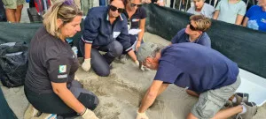 collaborazione ARPA Toscana - ARPA Liguria