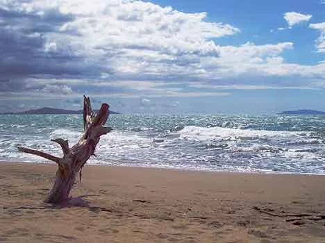 La qualità delle acque di balneazione in Italia e in Toscana