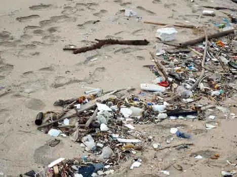 Contaminazione delle spiagge: cause, fonti, effetti ed interventi