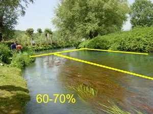 campionamento macrofite