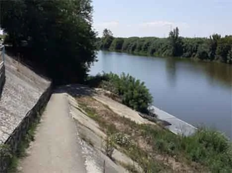 Fiume Arno - monte della stazione di Calcinaia