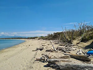 Spiaggia del Gombo Parco San Rossore