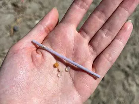 Coinvolgere ed educare per ridurre le plastiche