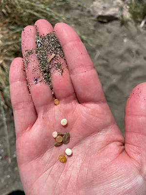 microplastiche sulla mano