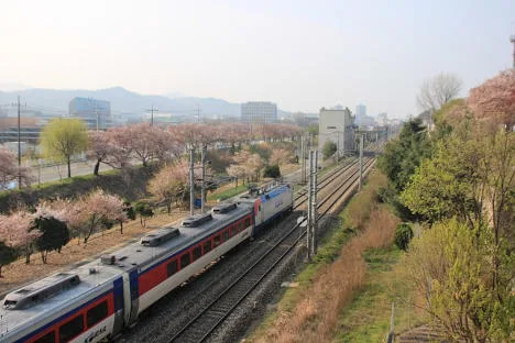 Foto di zheng2088 da Pixabay