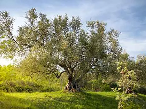 Immagine di wirestock su Freepik