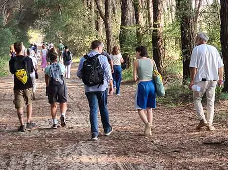 Educare alla pace attraverso la costruzione di una coscienza ecologica