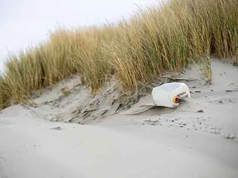 Foto di Ben Scherjon da Pixabay