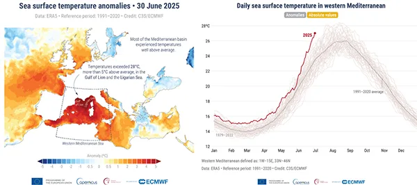 anomalie temperatura