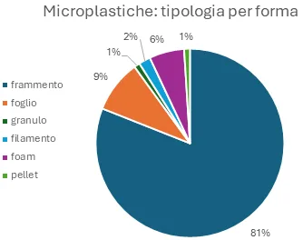 Microplastiche: tipologia per forma