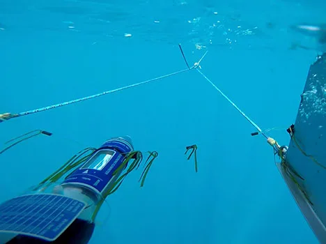 Microplastiche nel mare toscano