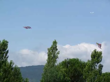 foto di Barbara Picozzi