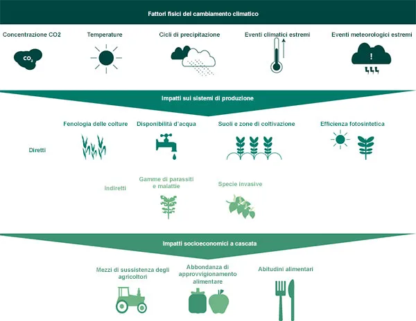 impatti-cambiamenti-climatici-su-agricoltura.jpg